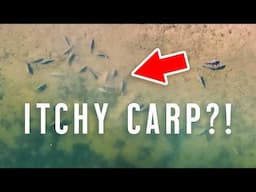 CARP FISHING At Norton Disney With Darrell Peck!