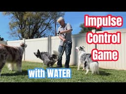Impulse Control Game with WATER
