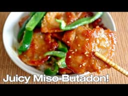 Easy Japanese Miso Pork Rice Bowl (Donburi) Recipe | How to Make Butadon