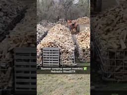 Summer Firewood Inventory's #firewood #inventory #shorts
