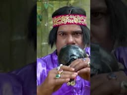 নাগ নাগিনীর ড্যান্স