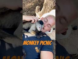 Is this the Perfect Weekend?!🐒☺️