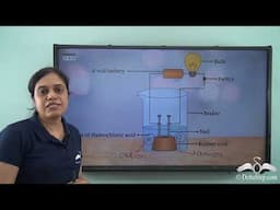 What do all Acids and Bases have in Common?