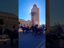🇲🇦Marrakech, Morocco #travel #marrakech #morocco #maroc