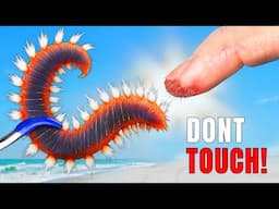 Stung by the Fireworm and other Venomous Creatures!