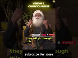 Sadhguru on Venom, Scorpions, and Consciousness — The Mystical Science of Reverberation