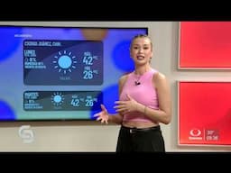 Marisol Navarro