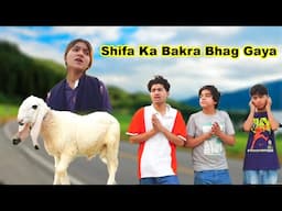 Shifa Ka Bakra Bhag Gaya  | MoonVines