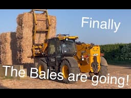 Video Diary on the Farm No.160