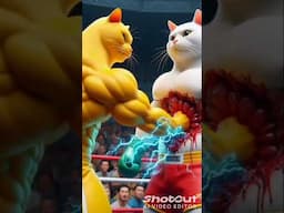 cat boxing 🥊 #cat #cartoon