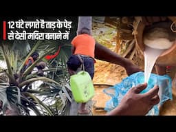 12 घंटे लगते है ताड़ के पेड़ से देसी मदिरा बनाने में 🫣| Tadi kaise Banti Hai? How Taadi is made