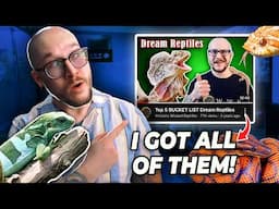I Got ALL My Dream Reptiles! Let Me Introduce You