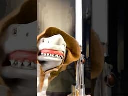 Shark puppet turns to dark side