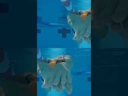 Unlock Your Speed: Swim Faster by Training Faster! (Lesson 1)