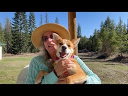 Ruby the Yarn Bandit! ~ Rescue Puppy Adventures & Milestones ~ Update #2