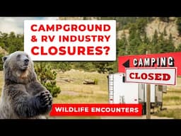 RV Industry and Camping Shutdowns, Starlink Mini & Scary Wildlife Encounters