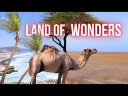 Destination Salalah: The Land of Wonders | Trip Report