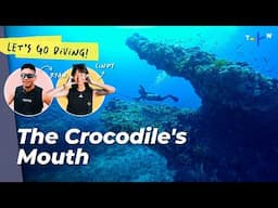 Green Island’s Most Instagrammable Dive Spots! | Let’s Go Diving!