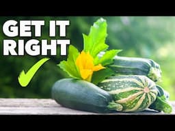 Zucchini Growing Masterclass: Grow Courgettes in 60 Days