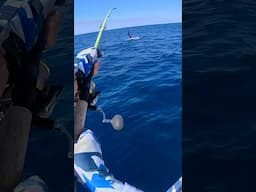 I Didn’t Expect This!!! Two Big Fish vs One Fisherman #offshore #fishing #epic #adventure #outdoors