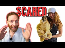 Can the "Girl With the Dogs" Groom an Aggressive Dog the Right way? Veterinarian Reacts