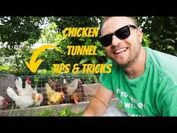 How to Expand Your Chicken Tunnel (Tips & Tricks)
