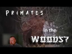 Bigfoot Captured on Video? Reaction!