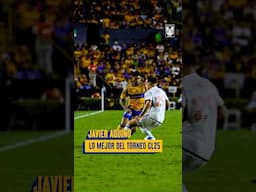 🫀🫁🏃🏻‍♂️🌬️ La fuerza, sacrificio, potencia, velocidad y Perfil Tigre de Javier Aquino 🐯
