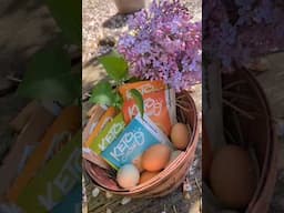🥚Just another day on the farm...