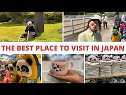 [Japan Itinerary] The Best Place to Visit in Japan | Adventure World in Japan