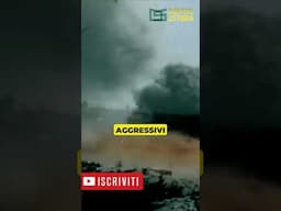 La PRIMA Volta Di Un'Arma CHIMICA #storia