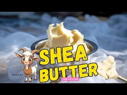 Ingredient: Shea butter - The G.O.A.T of butters for homemade skincare and haircare