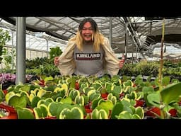 “It’s like Costco…for PLANTS!”