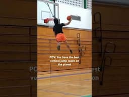 Three of the highest jumpers in the world
