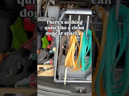 A Clean Dog Car Space 🚗 #shorts