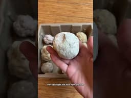 What’s hiding inside this rock?