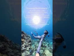 propaganda a marine conservationist isn't falling for