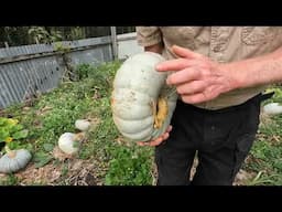 Autumn Garden & Harvest