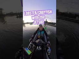 Crayfish pots off the JETSKI in WESTPORT #jetskifishing #fishpro #seadoo #westport #lobster #fishing