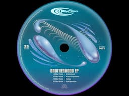Blue Vision - Brotherhood