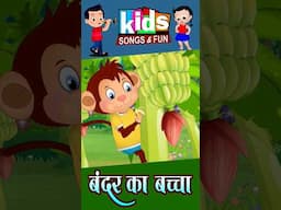 #kidsvideo #bandar ka bachaa