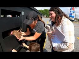The Best Surprise!