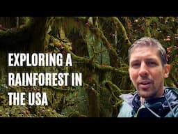 Perhaps the wettest area in the continental United States [Post-CDT Vlog 8]