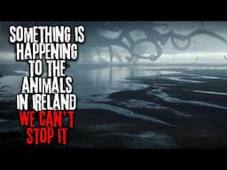 Something Terrifying Is Happening To The Animals In Ireland, We Can't Stop It | Creepypasta