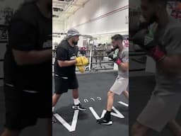 How to Land a Liver Shot With Power for Boxing #boxing