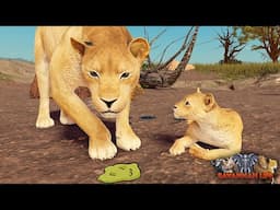 Mother Lioness Saves Baby Lion From Sickness! | ROBLOX Savannah Life