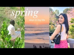 spring days in my life 🌸☕️🌅 | cherry blossoms, morning routine, beach sunsets & more!