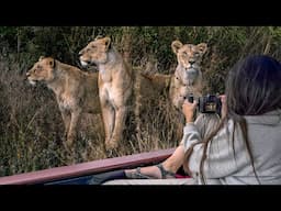 Kenya Safari in the City! (Nairobi National Park)