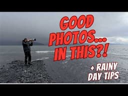 Dark, Rainy, and Foggy — My Favorite Way to Shoot Wildlife (+ Photo Tips)