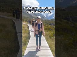 One walk. Endless adventures. ✨🌏 #newzealand #travelshorts #walkingtour #howtotravel